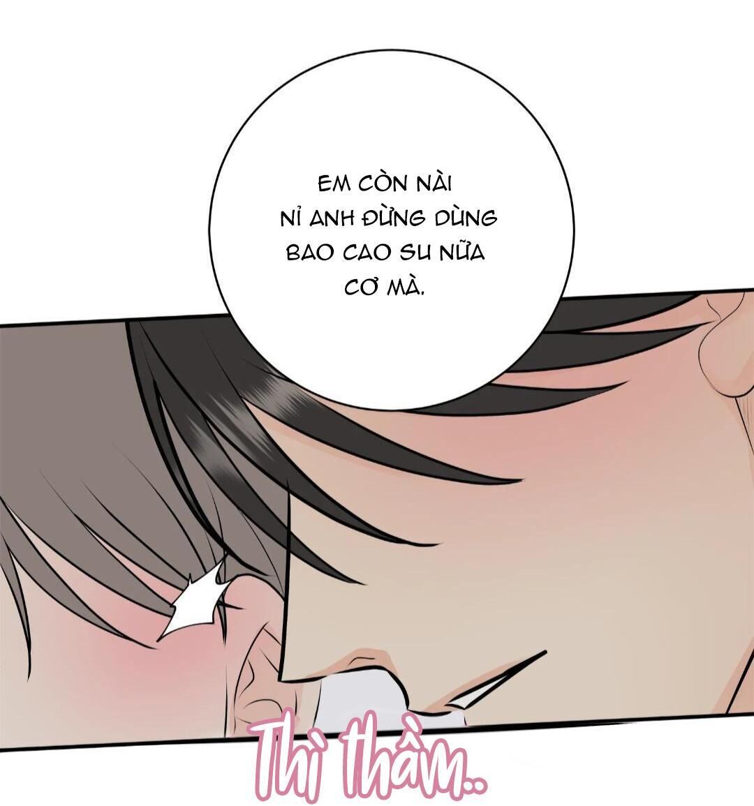 hạnh phúc trọn vẹn Chapter 23 - Next 24