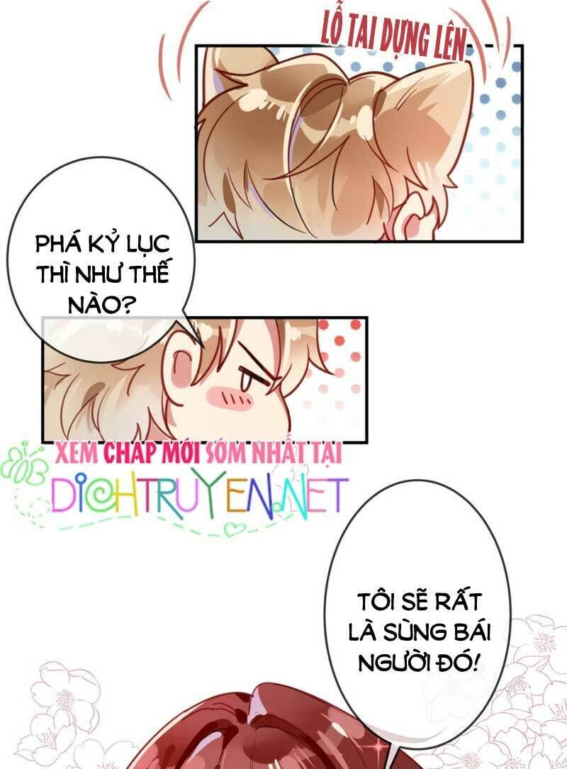 Em Là Bạc Hà Mèo Của Tôi Chapter 18 - Trang 2