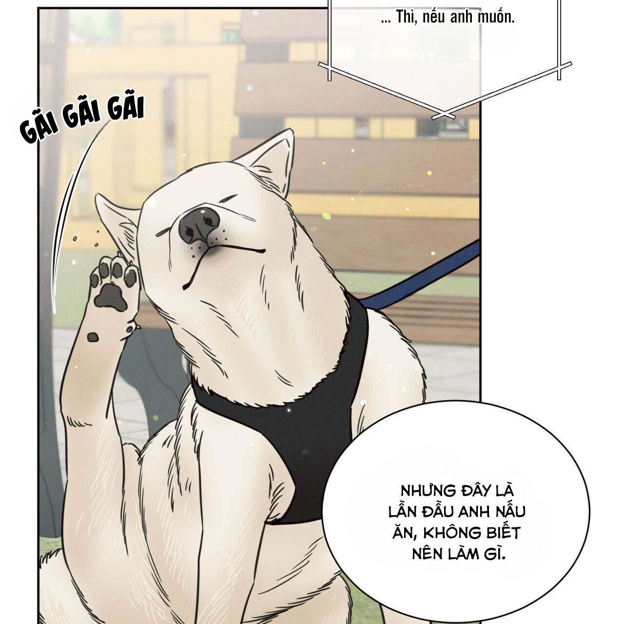 dù anh không yêu em Chapter 77 - Trang 2