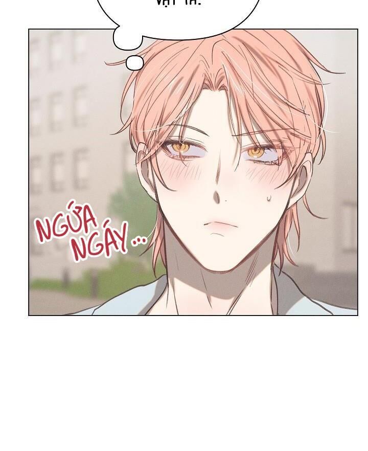 tuyển tập ngực bự, cung khủ của nhà kim Chapter 7 LOVE DROP 4 - Trang 2