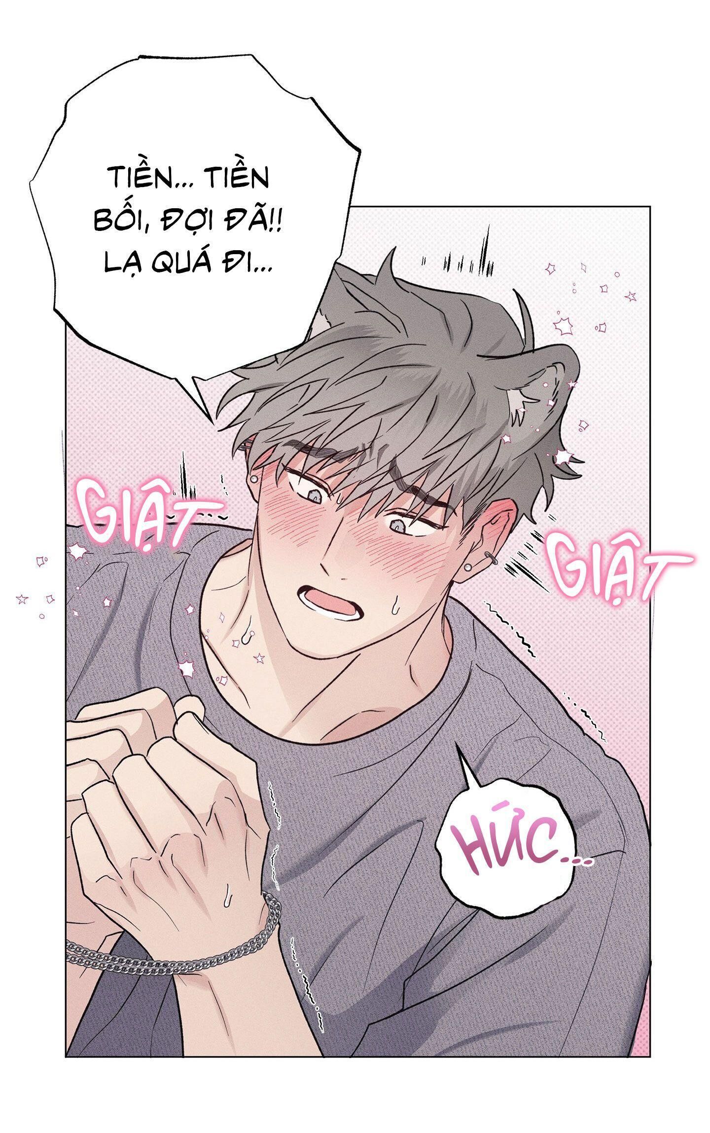 Nhật ký nuôi dưỡng sói hoang Chapter 3 - Next Chapter 3