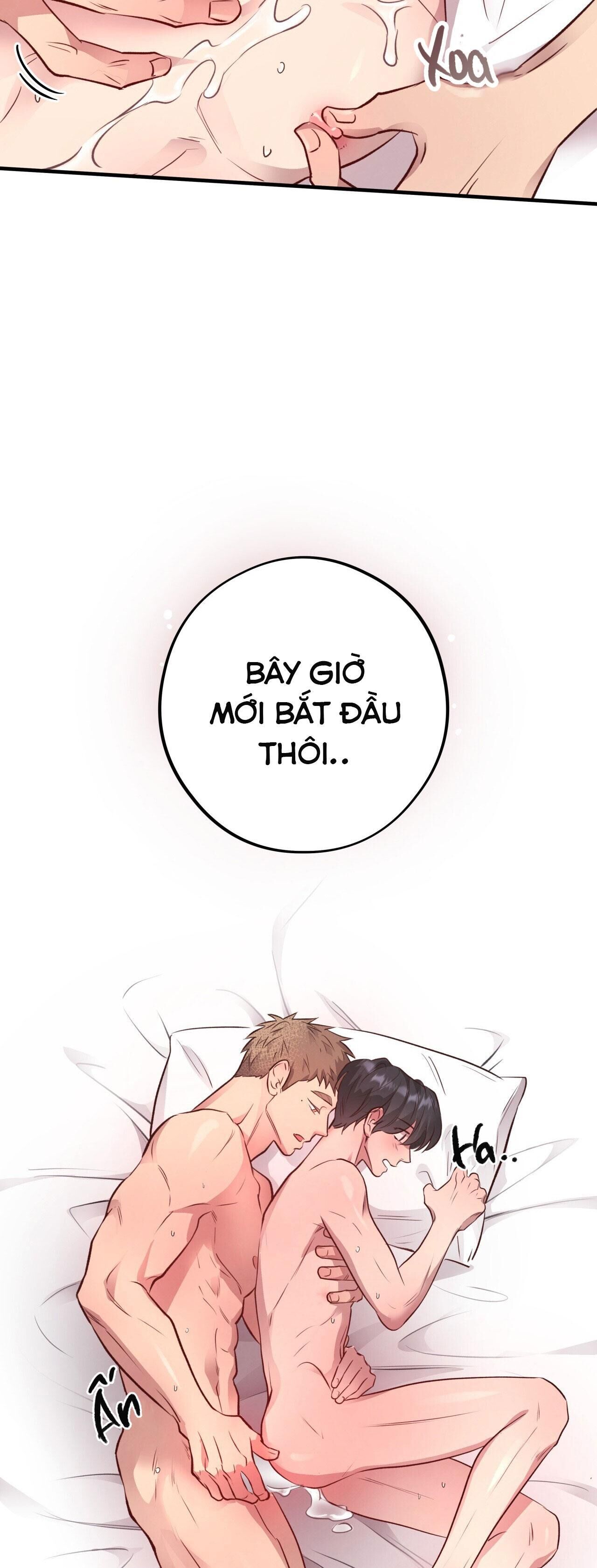 mật gấu Chapter 28 - Next Chương 29