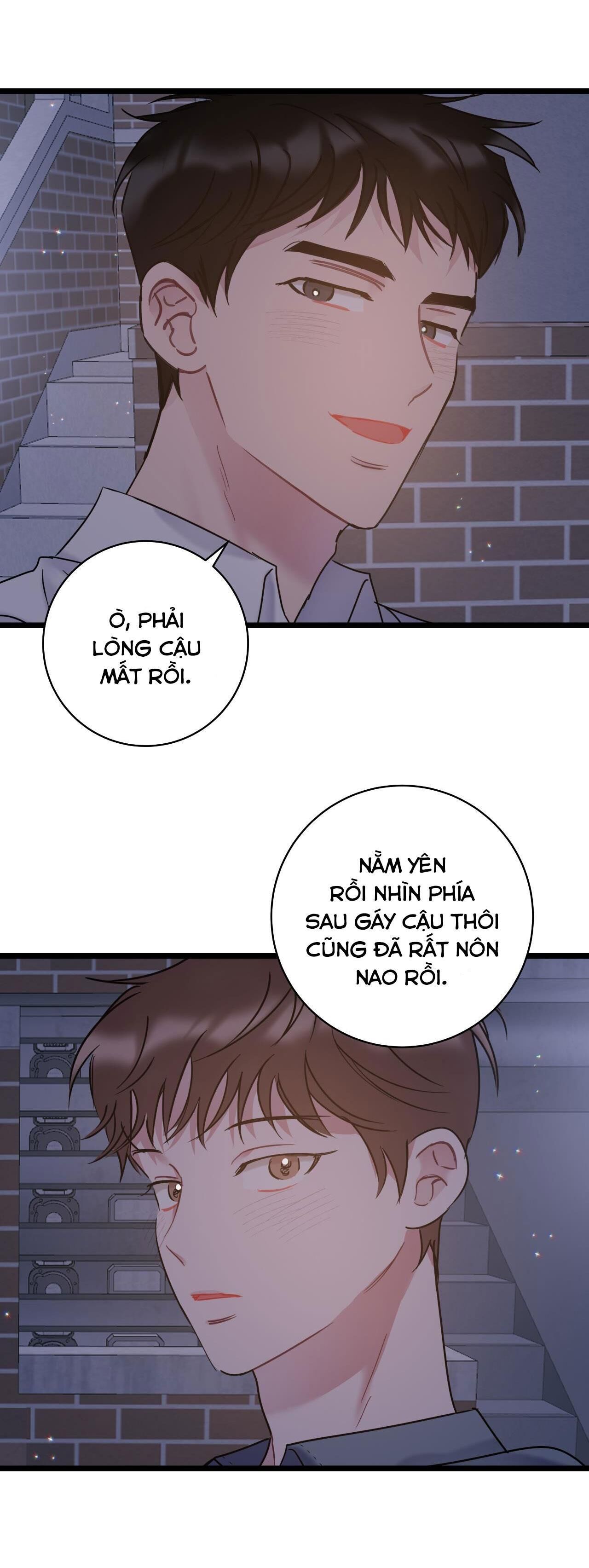 tình yêu bình dị nhất Chapter 21 - Trang 2