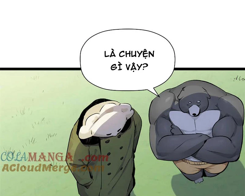 đỉnh cấp khí vận, lặng lẽ tu luyện ngàn năm Chapter 194 - Next Chapter 195