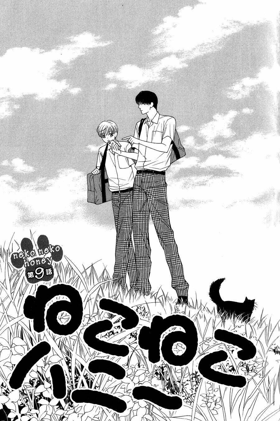 Neko Neko Honey Chapter 9 - Next Chapter 10