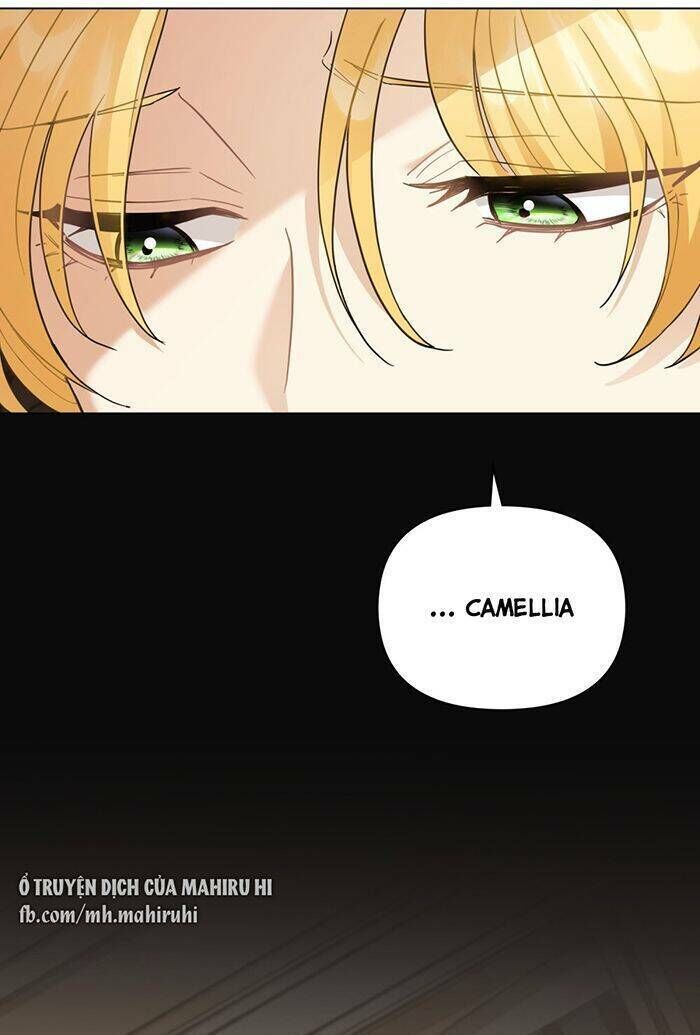 tìm lại camellia chapter 73 - Trang 2