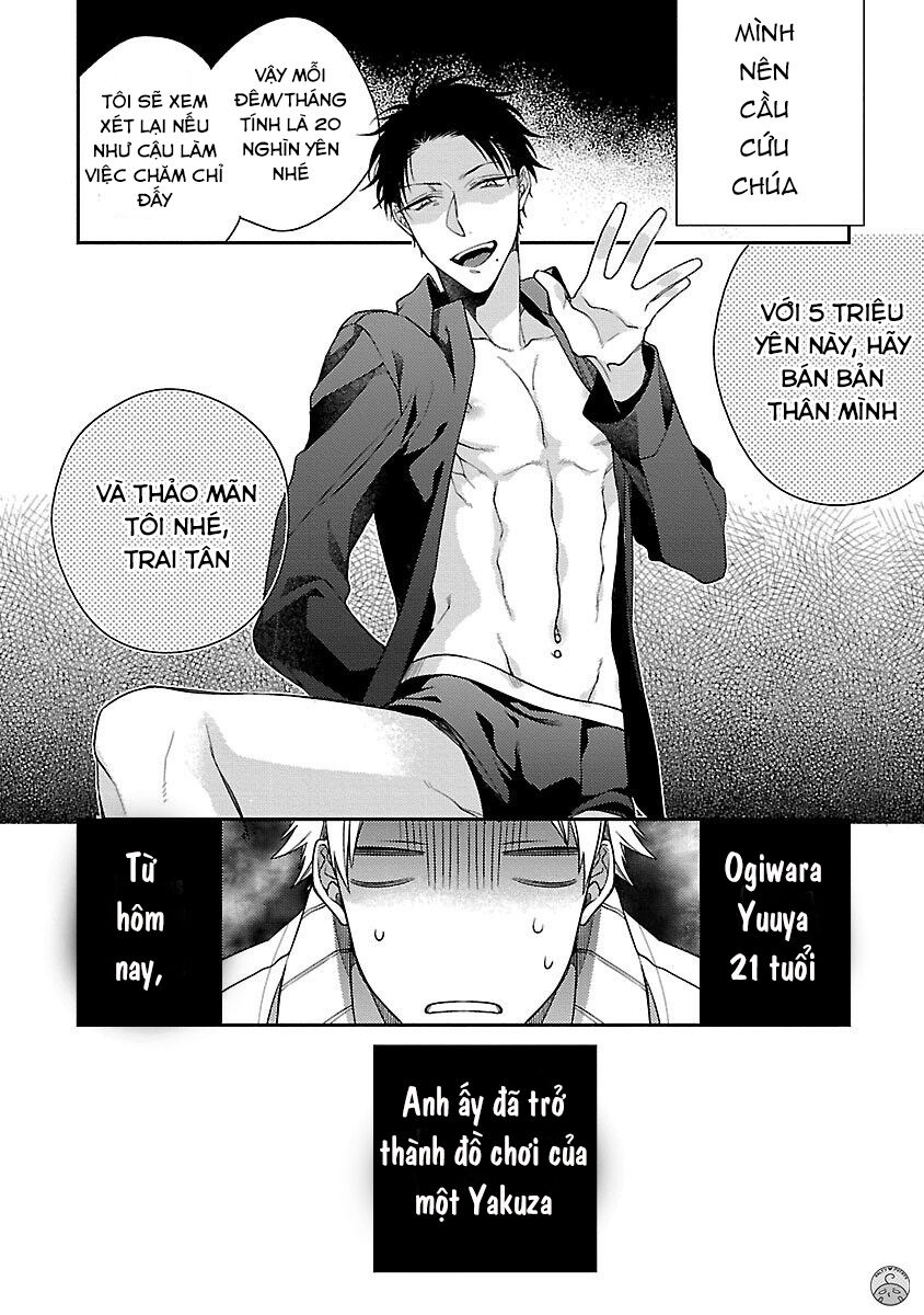 Yakuza-sama no Omocha Chapter 1 - Trang 2