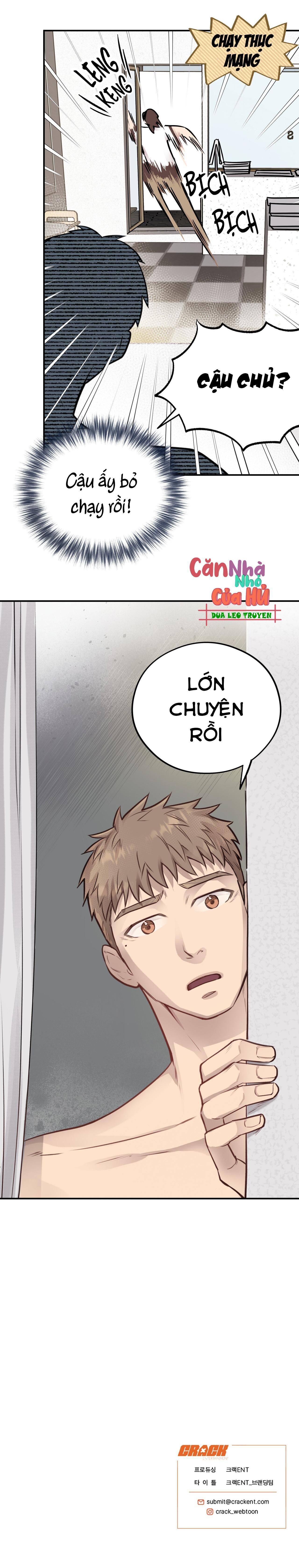 mật gấu Chapter 8 - Next Chương 9