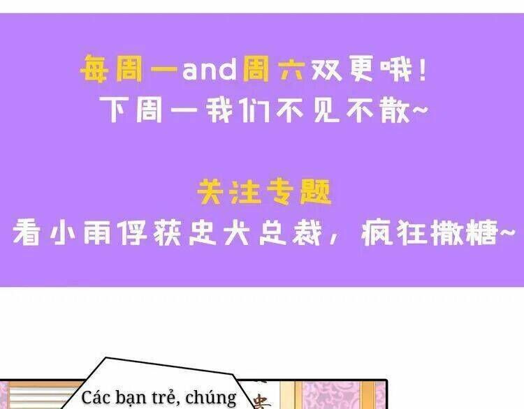 Tổng Tài Đại Nhân Song Mặt Kiều Thê Chapter 7 - Trang 2