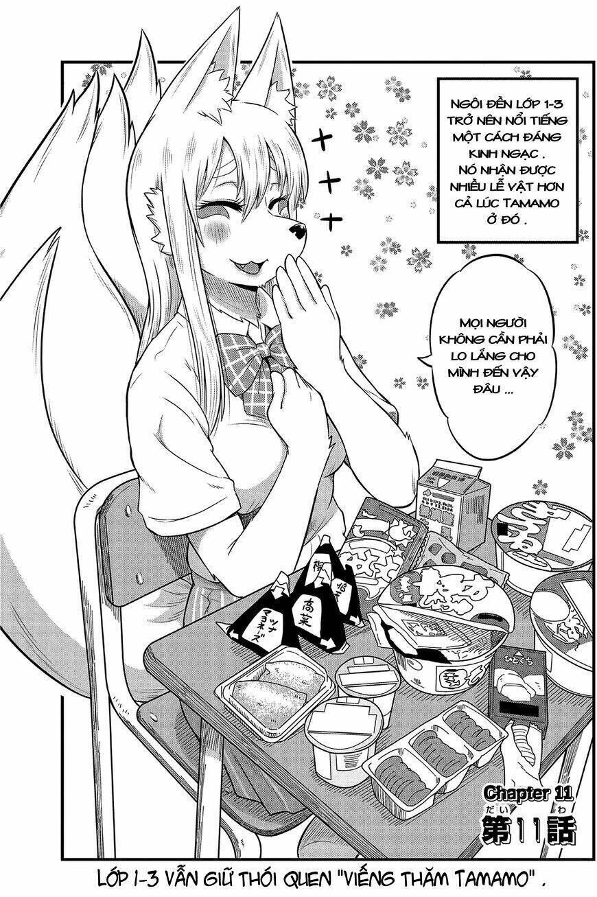 High school Inari Tamamo-chan ! Chapter 11 - Trang 2