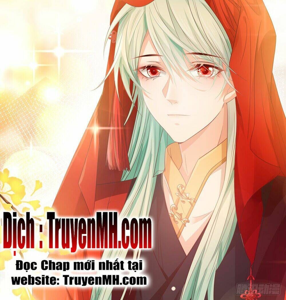 kiều mỵ phu lang, tại tuyến lục trà chapter 3 - Next chapter 4