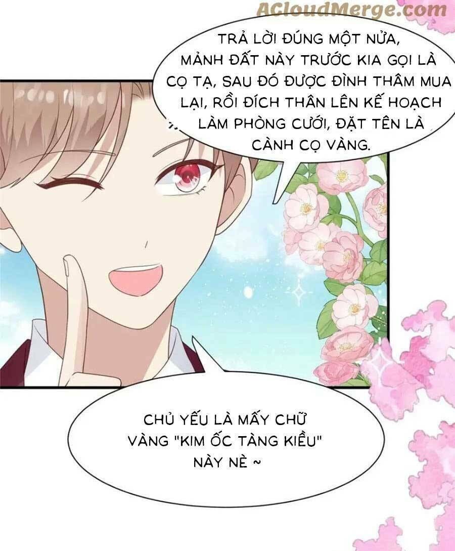 lưng dựa núi lớn đứng vững c vị chapter 203 - Trang 2