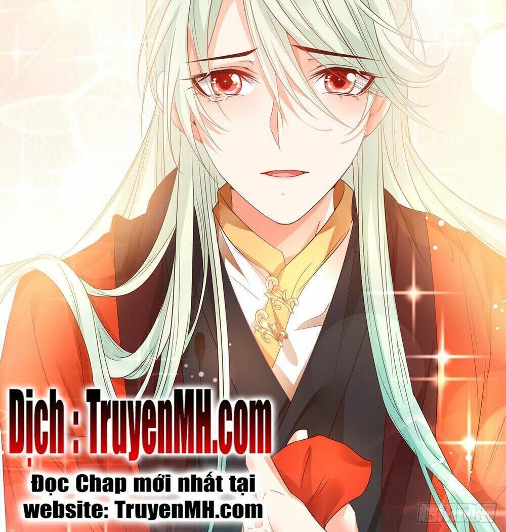 kiều mỵ phu lang, tại tuyến lục trà chapter 3 - Next chapter 4