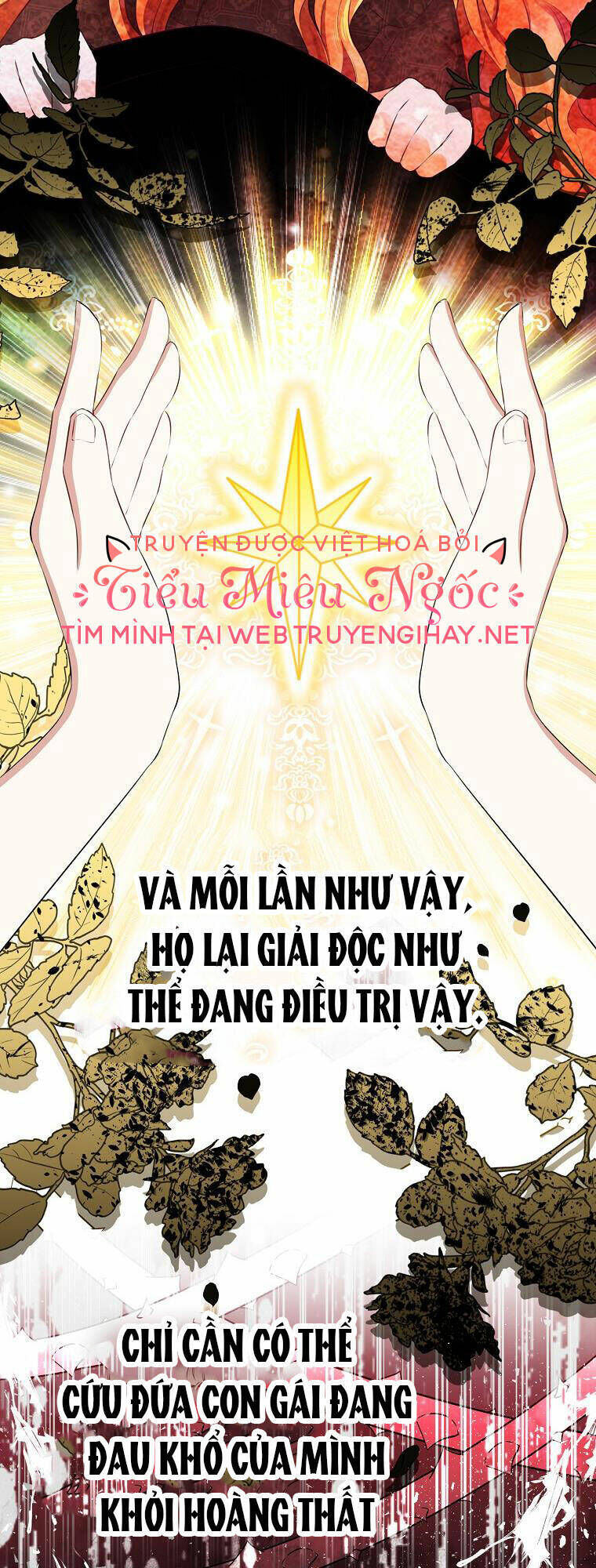 sóc nhỏ tài năng chapter 41 - Next chapter 42