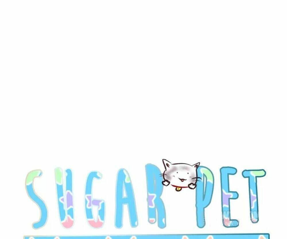 Sugar Pet Chapter 7 - Trang 2