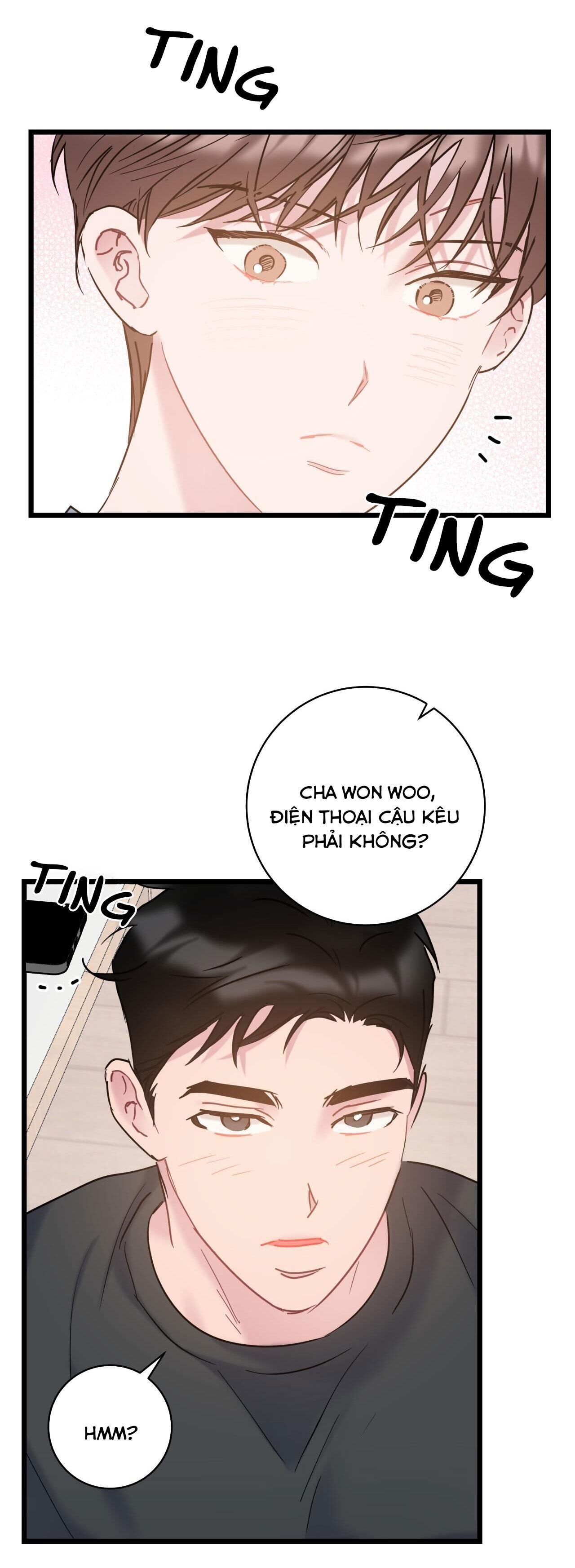 tình yêu bình dị nhất Chapter 26 - Trang 2