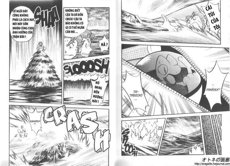 pokemon special Chapter 249 - Trang 2