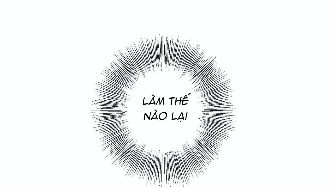 Mâu thuẫn và tương phản Chapter 11 - Next Chapter 12