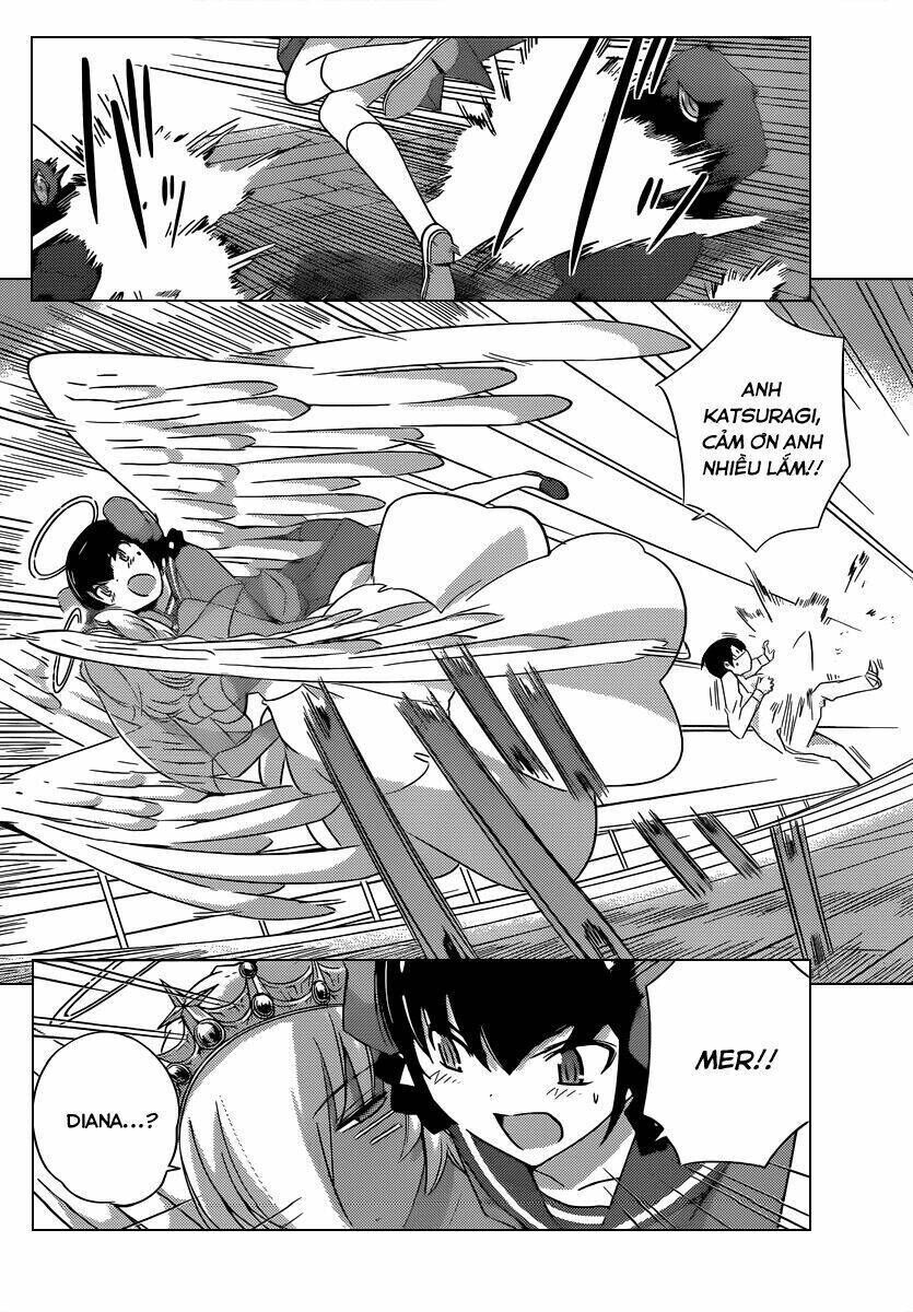 The World God Only Knows - Kami nomi zo Shiru Sekai Chapter 187 - Trang 1