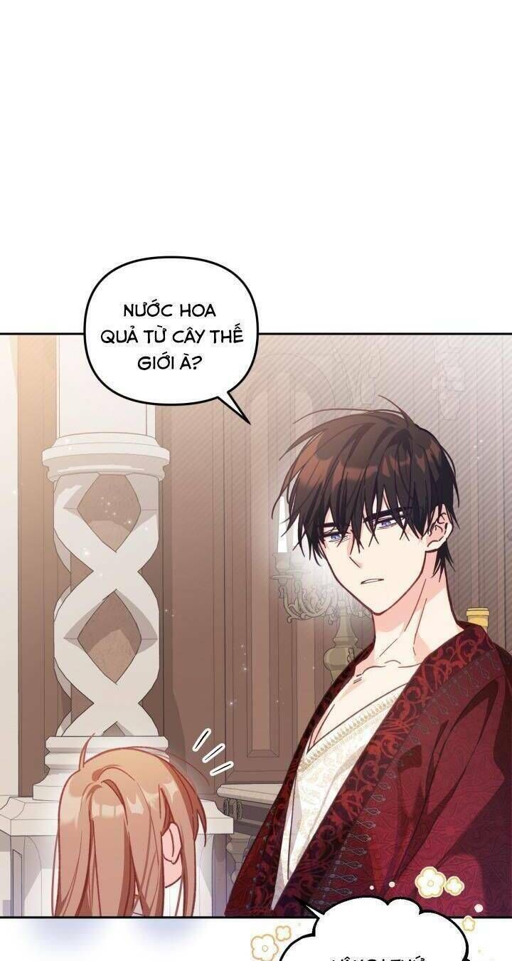 không có nơi nào dành cho công chúa giả mạo chapter 8 - Next chapter 9