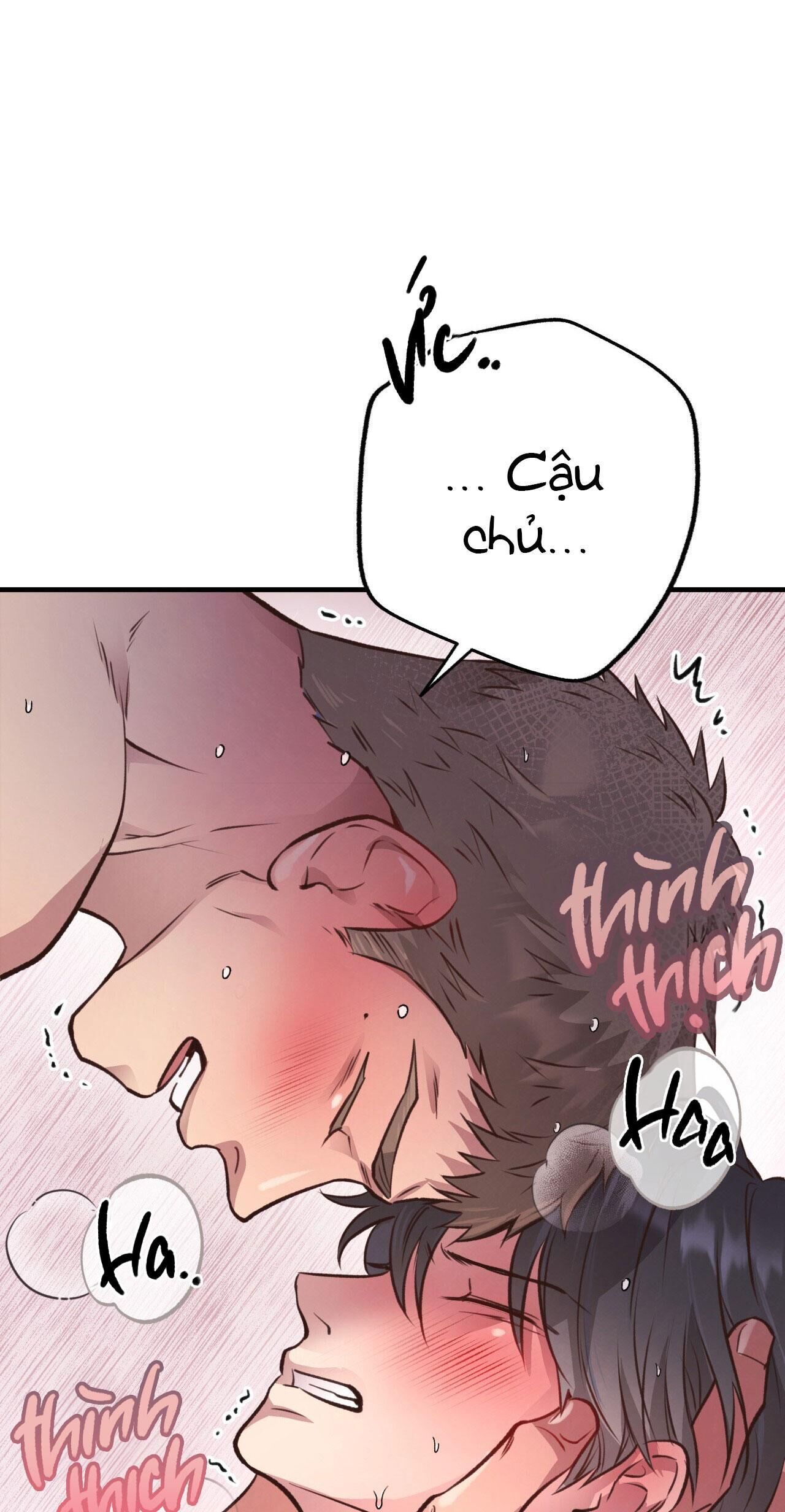 mật gấu Chapter 28 - Next Chương 29