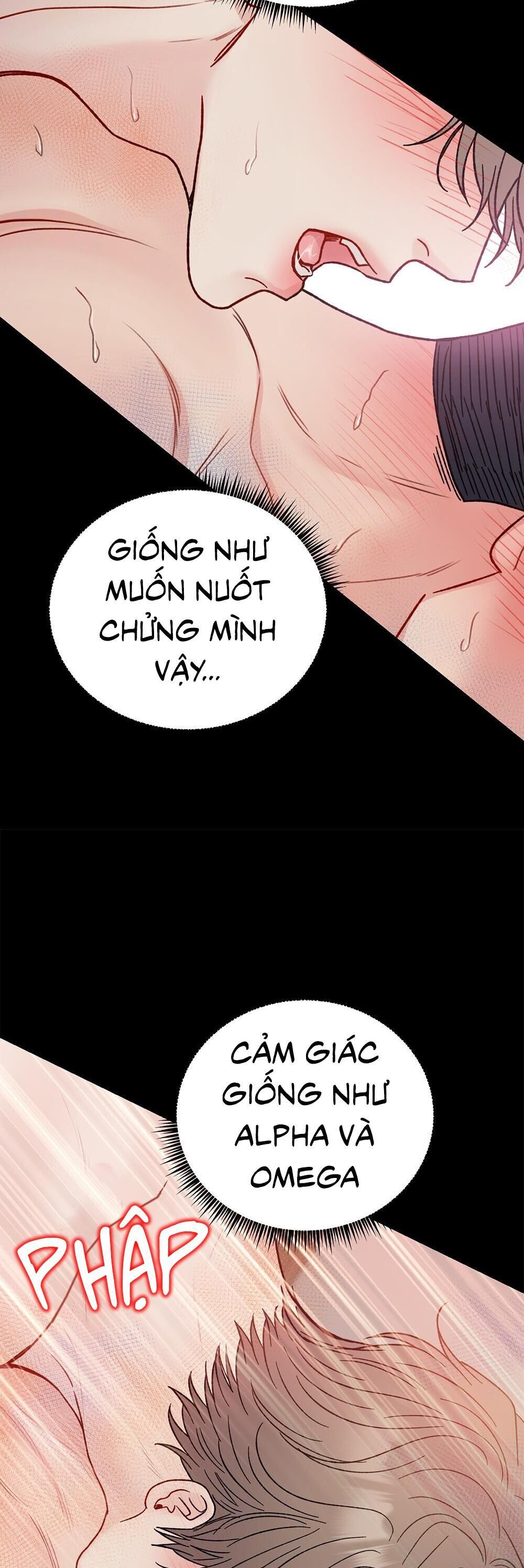 cậu không phải là gu của tôi Chapter 40 - Trang 1