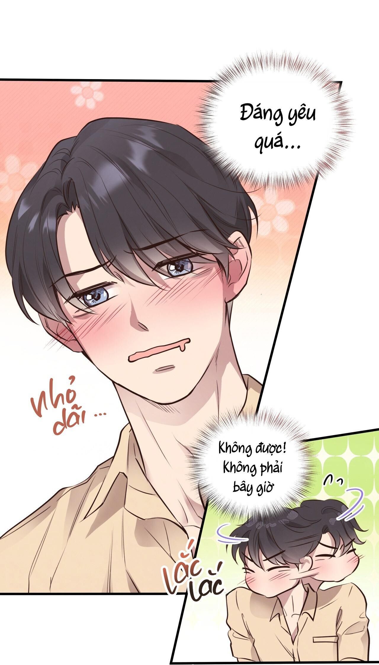 mật gấu Chapter 32 - Next Chương 33