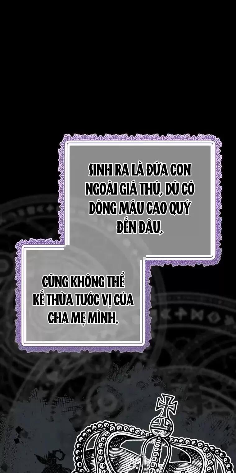 Cây Cúc Tây Thân Yêu Của Tôi Chapter 4 - Trang 2