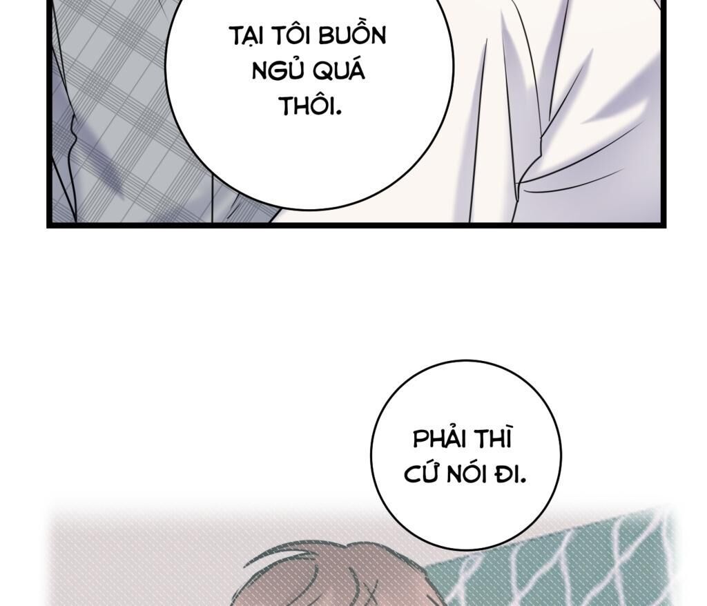 tình yêu bình dị nhất Chapter 13 - Trang 2