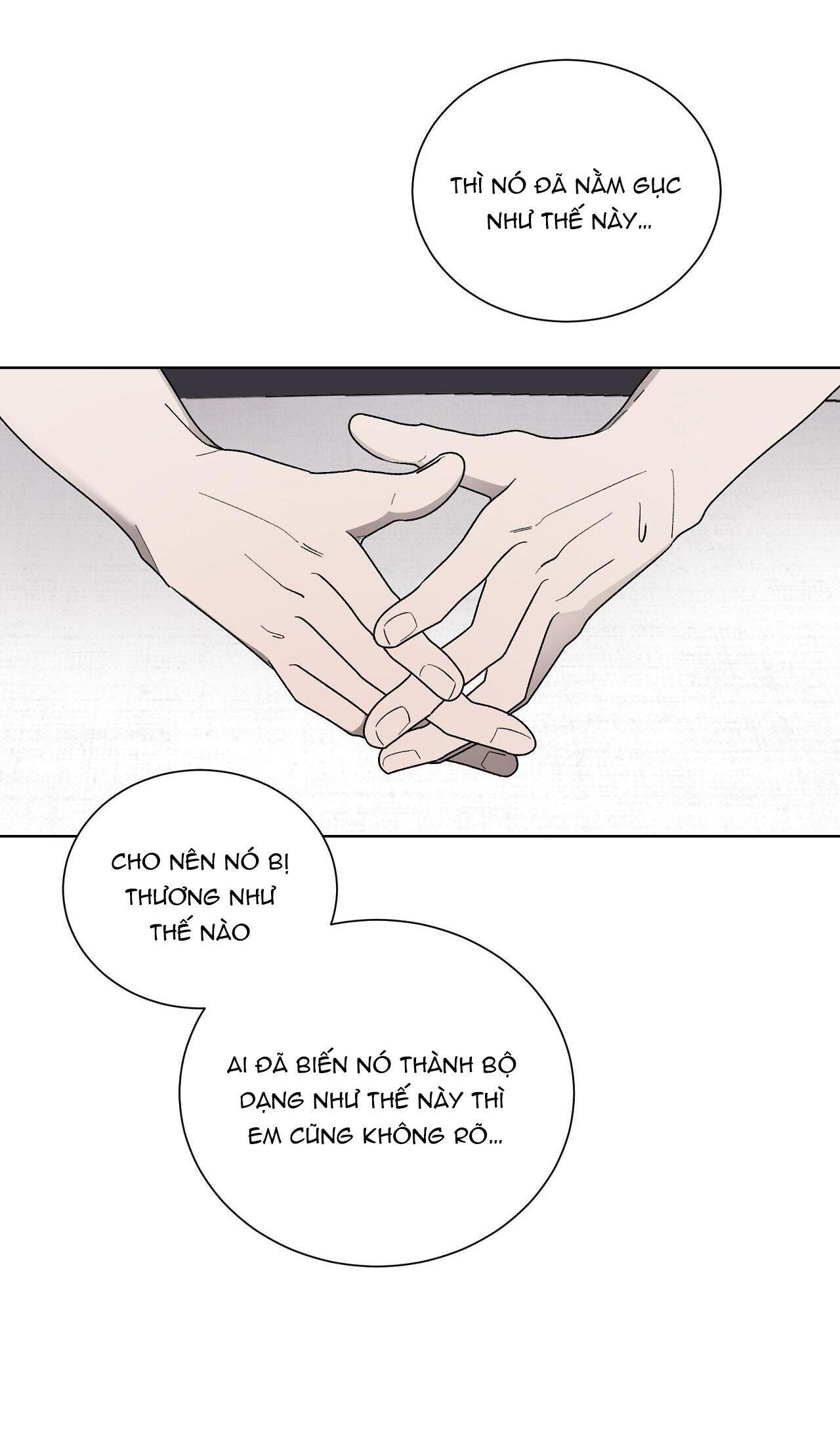 khi chim thước đến Chapter 13 - Trang 2