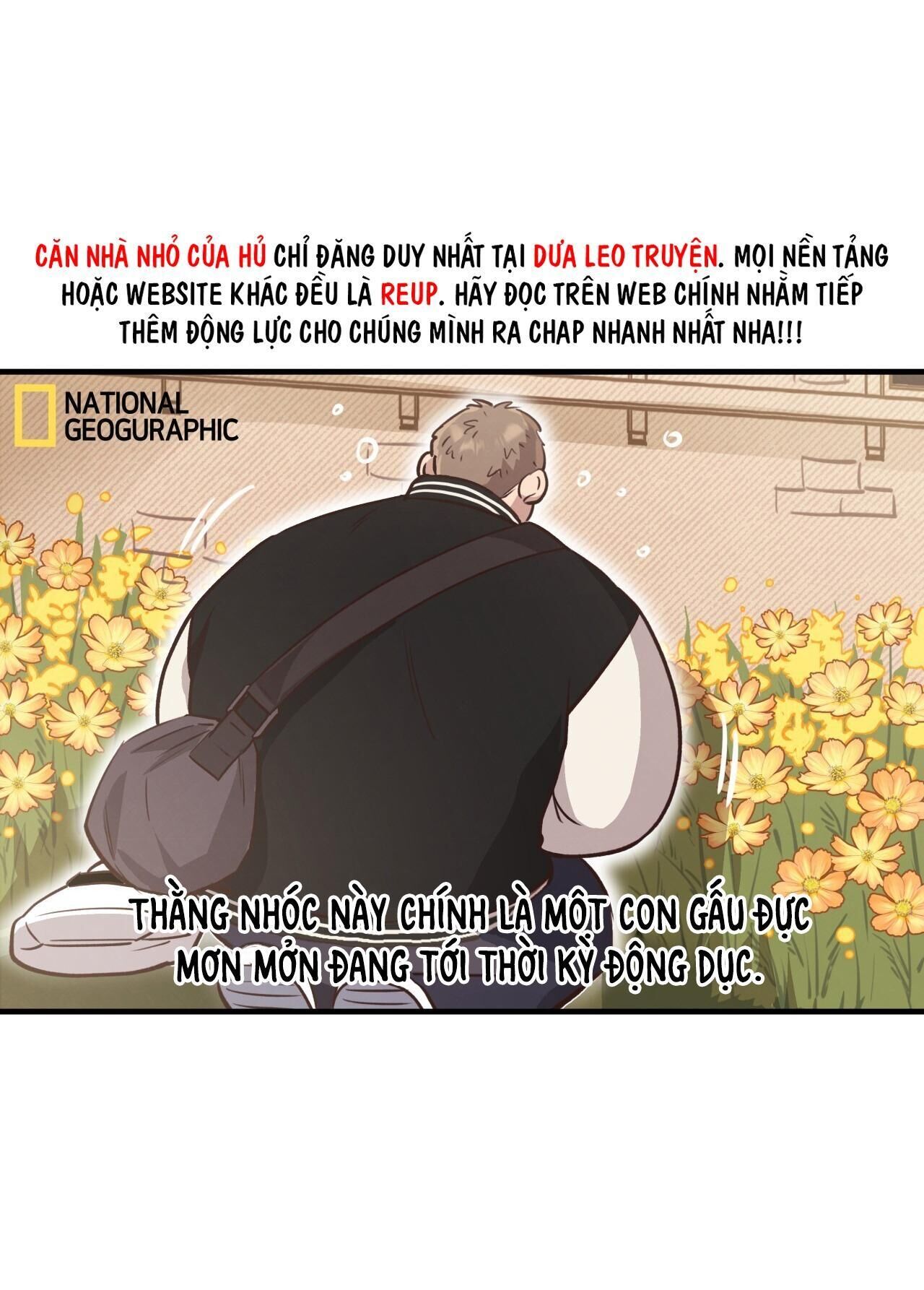 mật gấu Chapter 31 SS2 - Next Chương 32