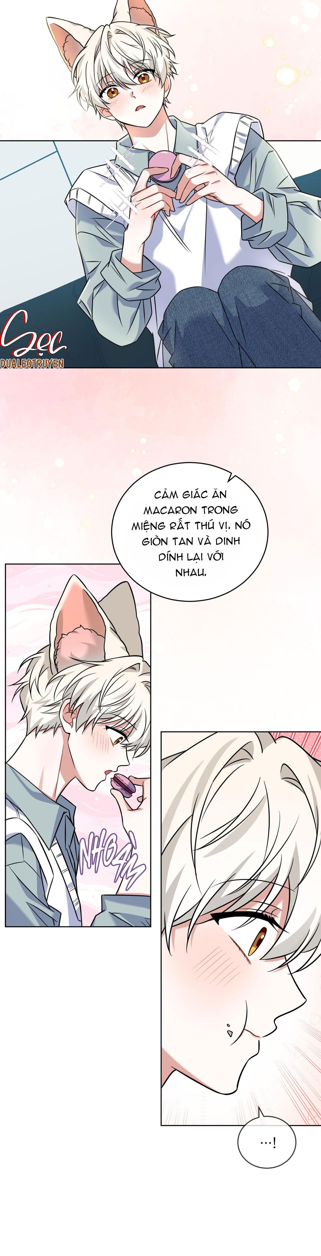 nước uống tình yêu của cáo plin Chapter 18 - Trang 1