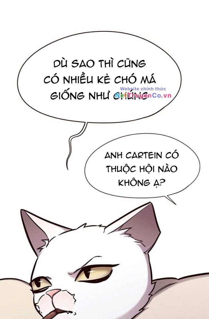 hoá thân thành mèo chapter 148 - Trang 2