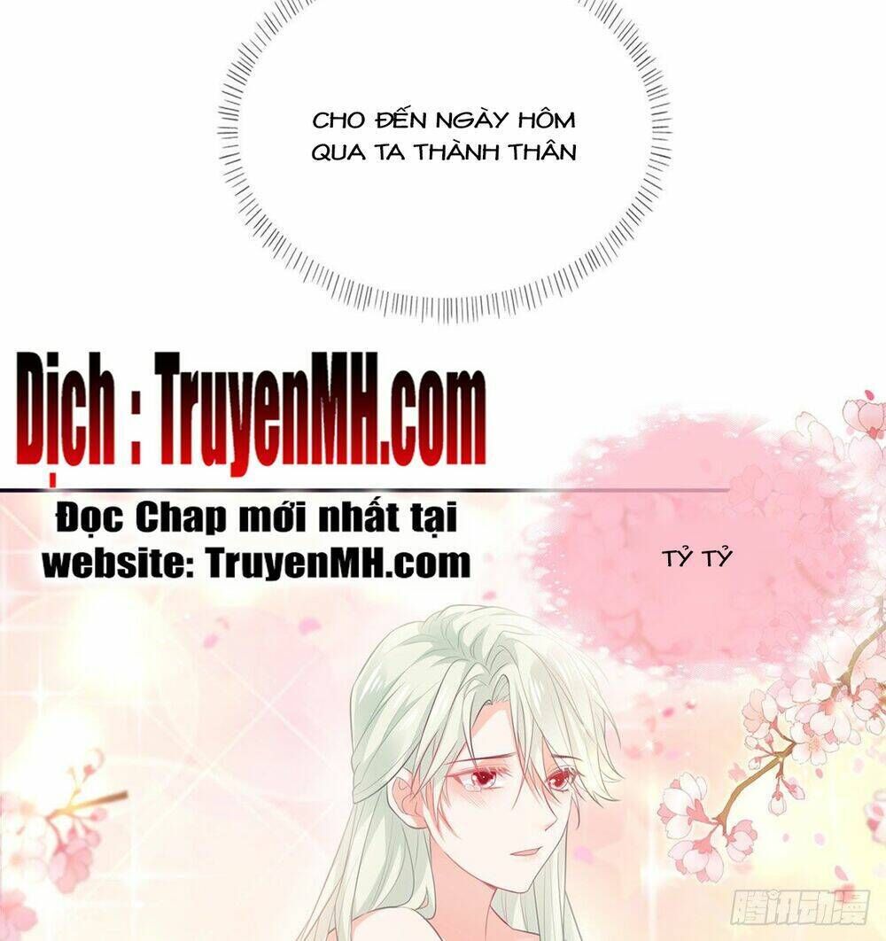 kiều mỵ phu lang, tại tuyến lục trà chapter 4 - Next chapter 5