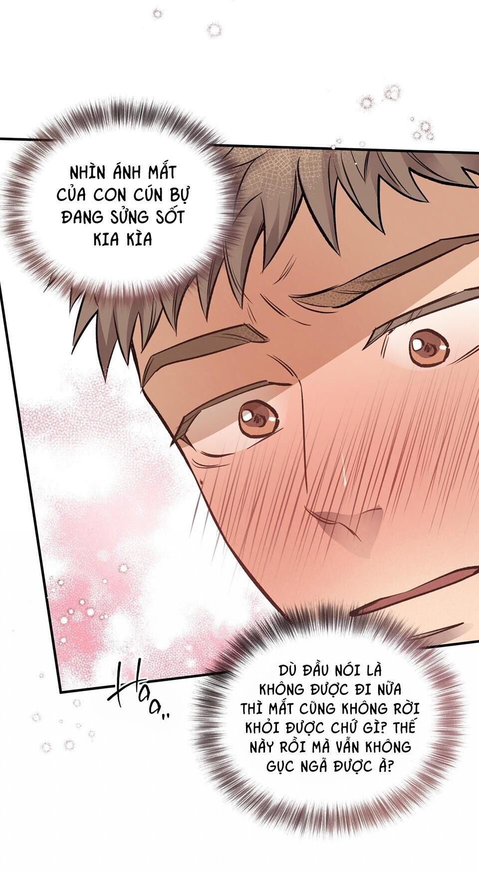 honey bear Chapter 15 - Trang 1