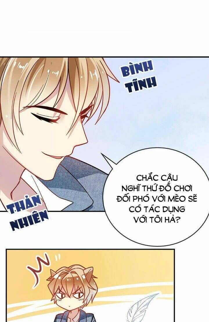 Em Là Bạc Hà Mèo Của Tôi Chapter 10 - Trang 2