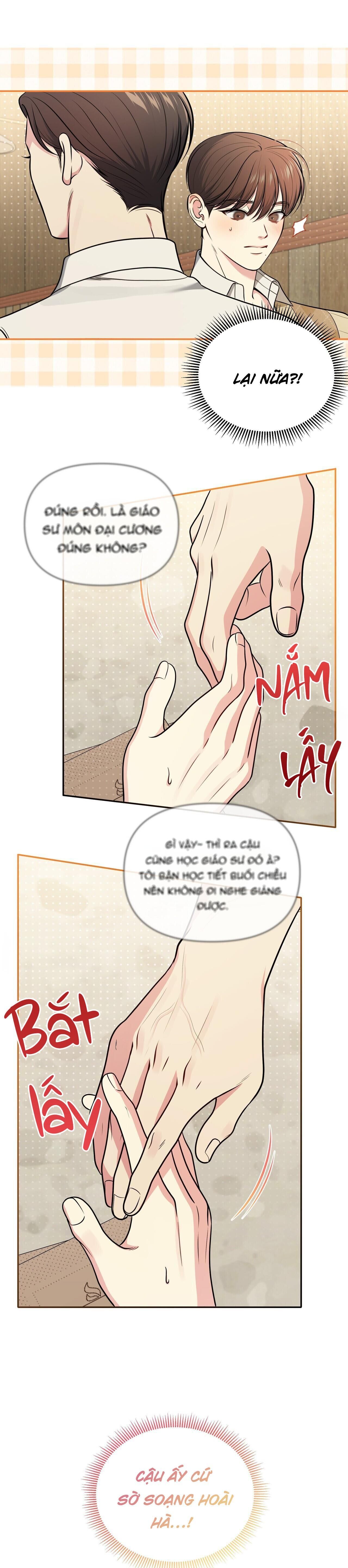 Tình Yêu Bí Mật Chapter 13 - Next Chapter 13.5