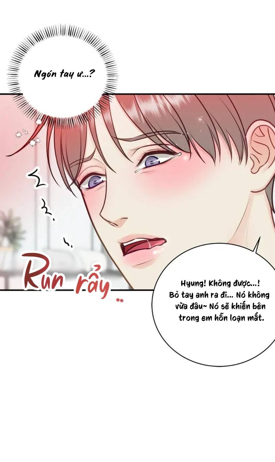 hạnh phúc trọn vẹn Chapter 43 - Next 44