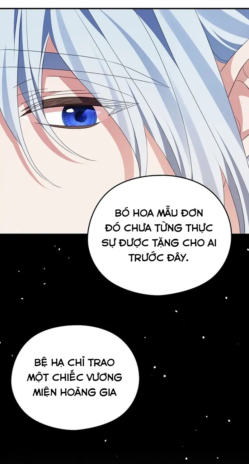 Cây Cúc Tây Thân Yêu Của Tôi Chapter 58 - Trang 2