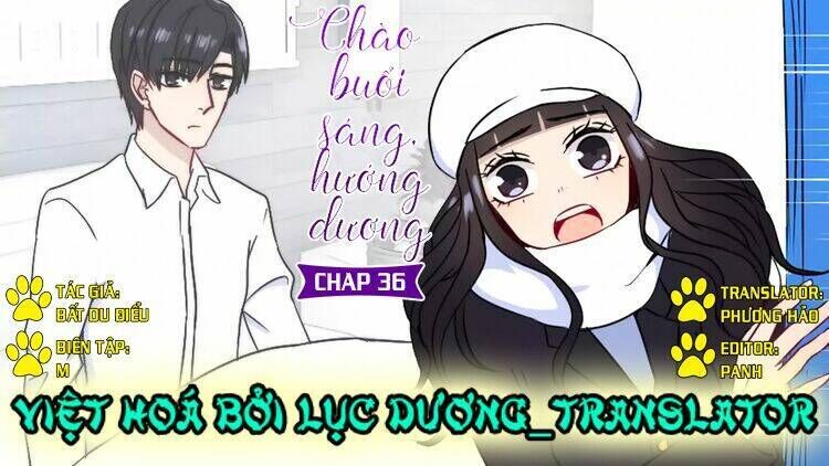 Chào Buổi Sáng, Hướng Dương Chapter 36 - Next Chapter 37