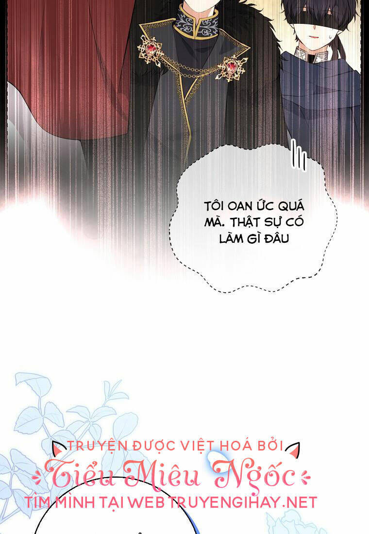 sóc nhỏ tài năng chapter 41 - Next chapter 42