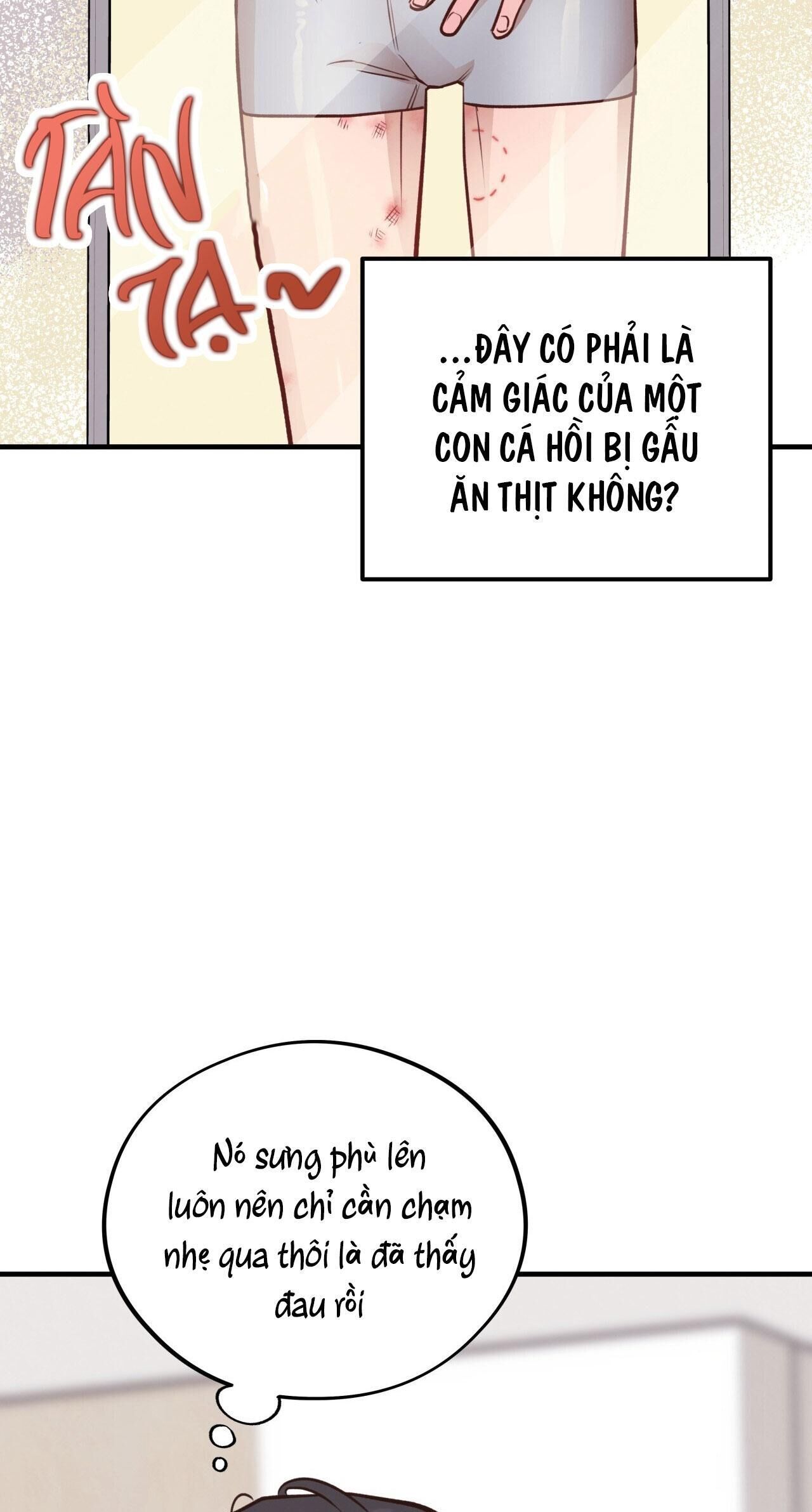 mật gấu Chapter 29 - Next Chương 30