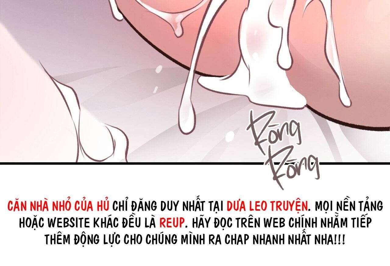 mật gấu Chapter 28 - Next Chương 29