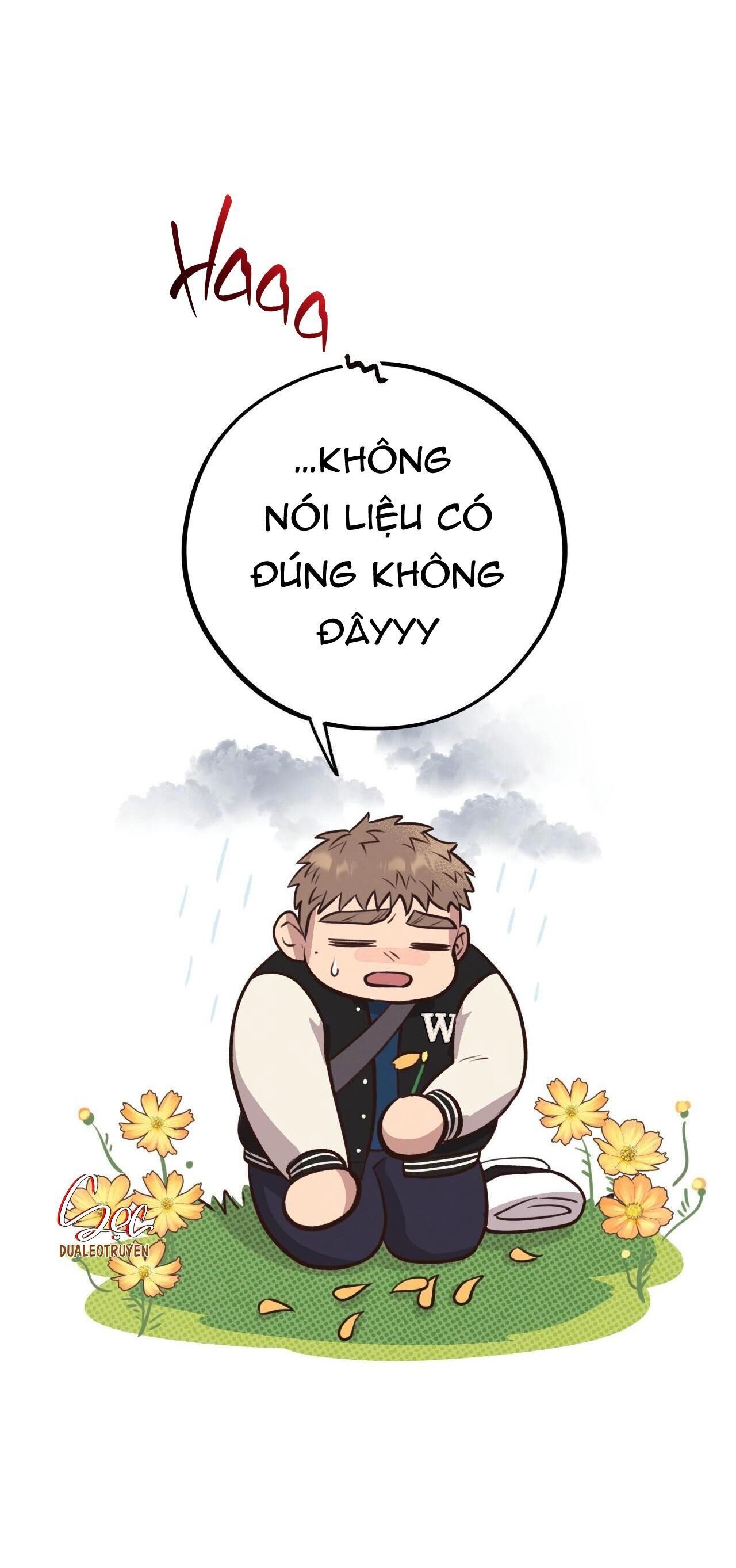 honey bear Chapter 31 - Trang 1