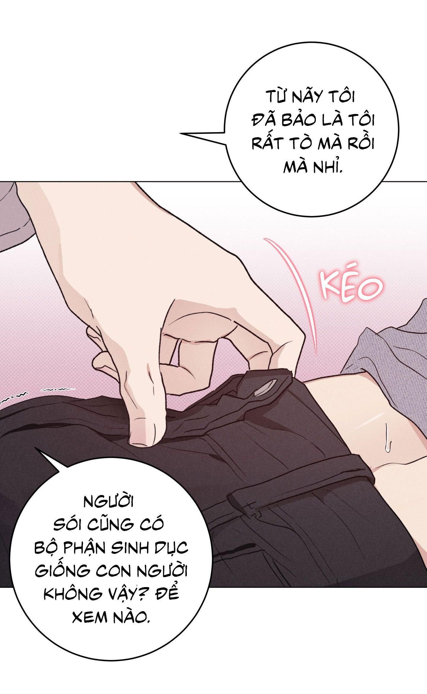 Nhật ký nuôi dưỡng sói hoang Chapter 3 - Next Chapter 3