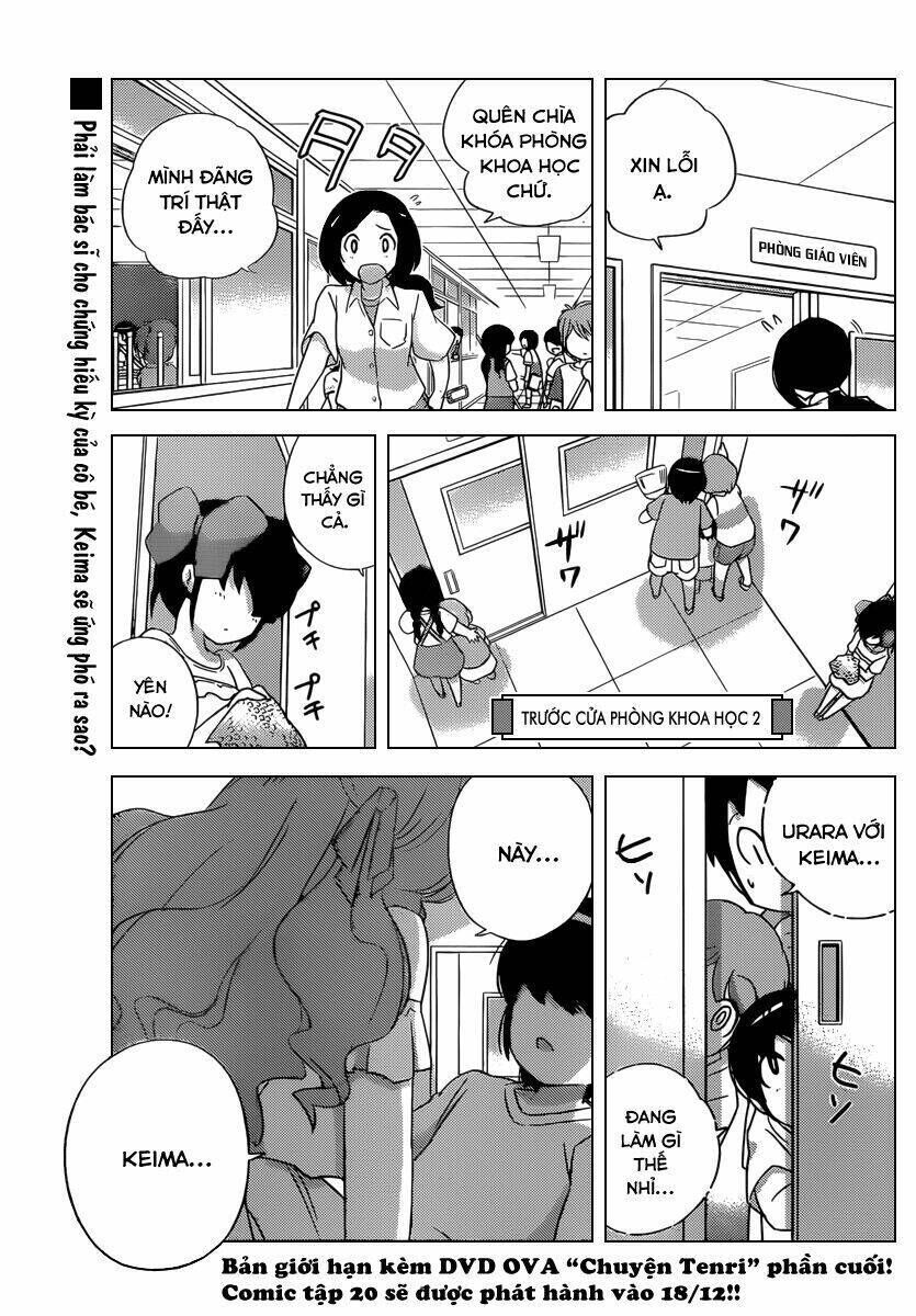 The World God Only Knows - Kami nomi zo Shiru Sekai Chapter 208 - Trang 2