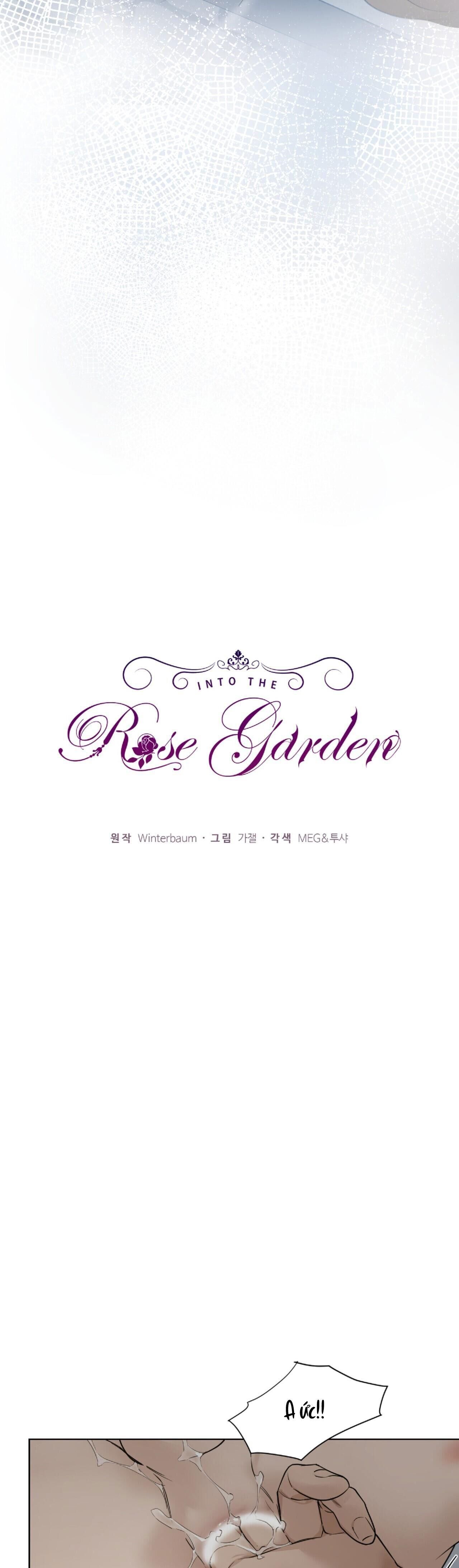 into the rose garden Chapter 22 - Next Chương 23