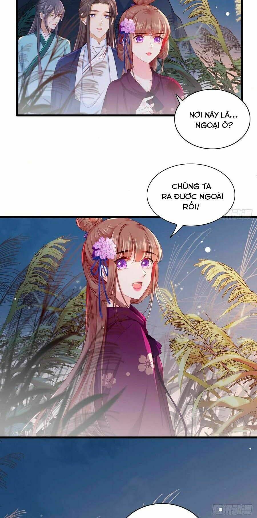 nữ thủ phú chi kiều sủng nhiếp chính vương chapter   30 - Next chapter   31