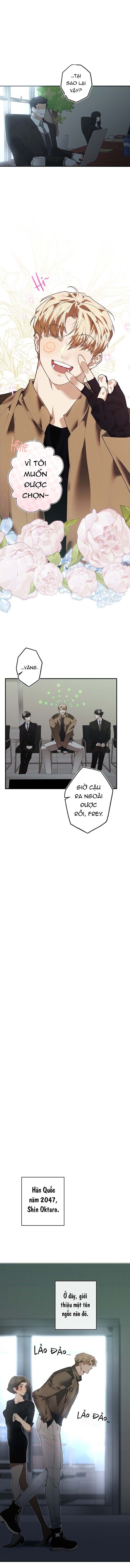 Giao Kèo Mafia Chapter 1 - Trang 1