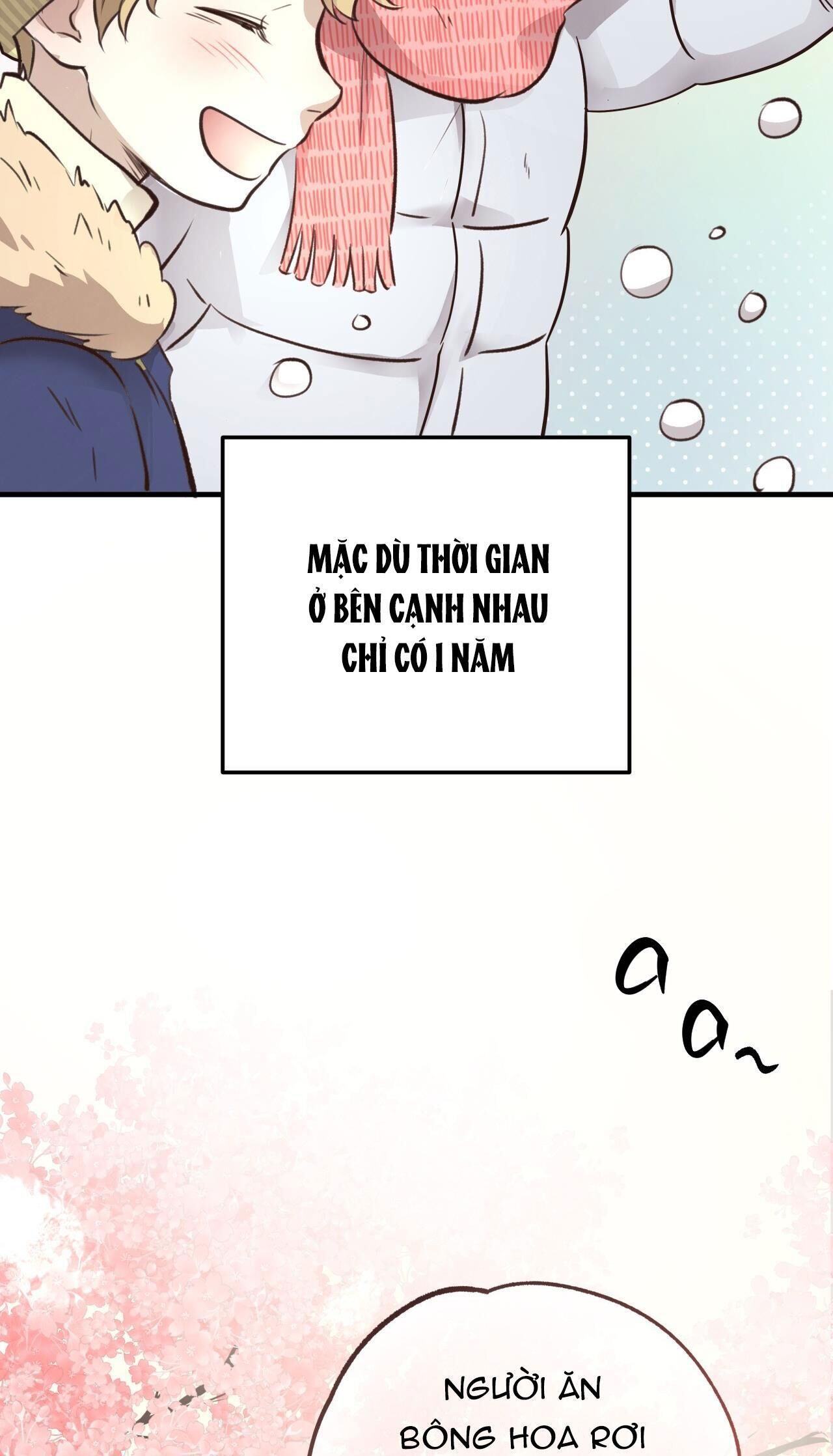 honey bear Chapter 38 - Trang 1